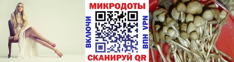 Галлюциногенные грибы Cubensis  Нововоронеж 